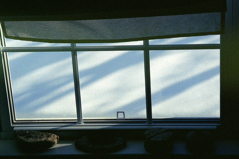 Ken_s Window.jpg